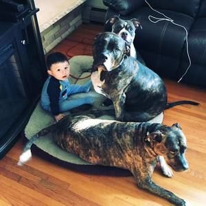 Meet your Posher, Addy